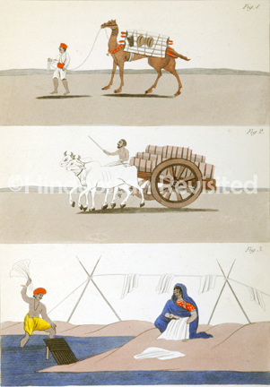 /data/Original Prints/Portraiture, Portraits, Occupations, Trades and Professions, People/A CAMEL DRIVER - A BULLOCK DRIVER - A WASHERMAN AND WOMAN.jpg